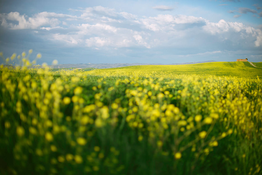 roberto-panciatici-photographer-engagement-tuscany-siena-18