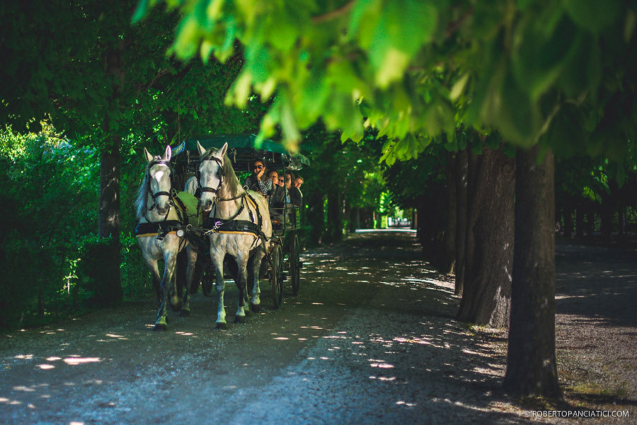 vienna Schönbrunn horses