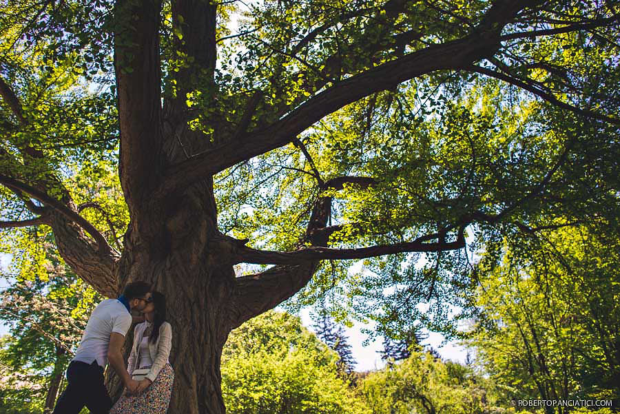 engagement in vienna creative portrait in vienna Schönbrunn