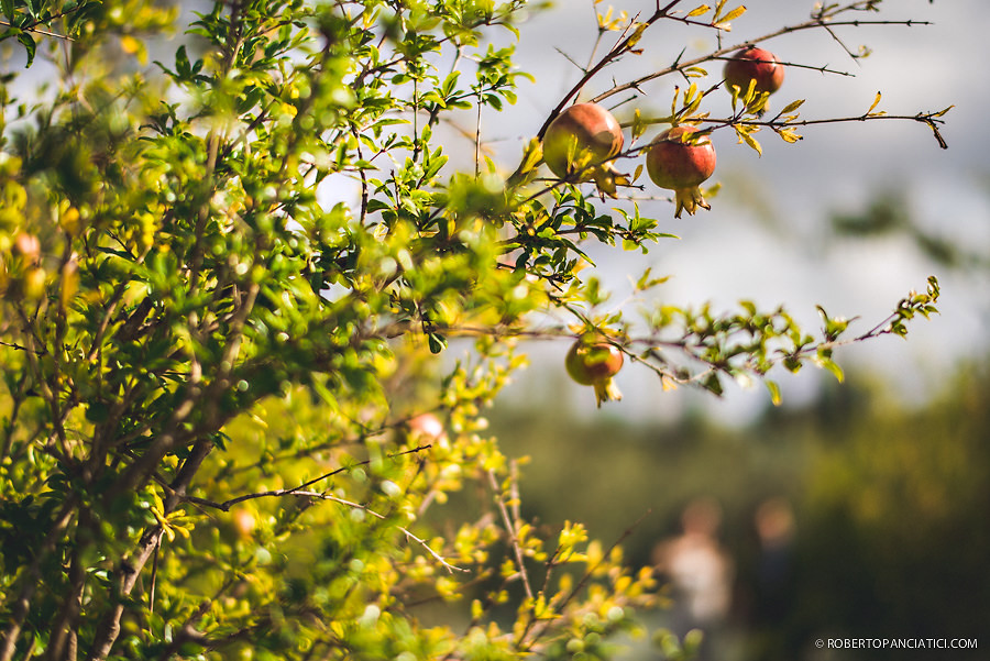 borgo-santo-pietro-engagement-in-tuscany-Roberto-Panciatici-Photography-32