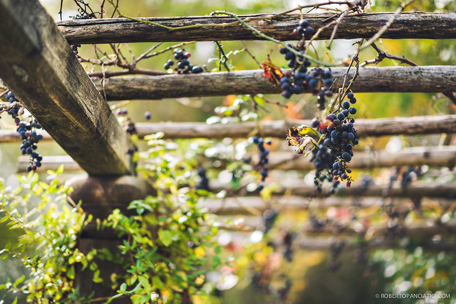 borgo-santo-pietro-engagement-in-tuscany-Roberto-Panciatici-Photography-48