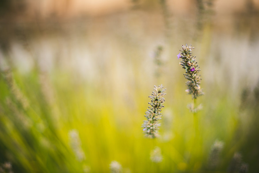 Wedding in tuscany by Roberto Panciatici Photography-112