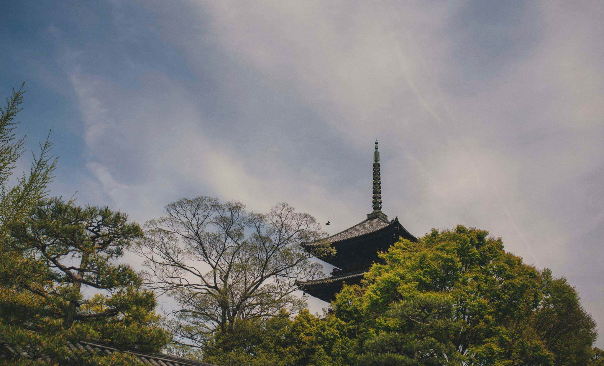 kyoto wedding photographer destination wedding photography in japan