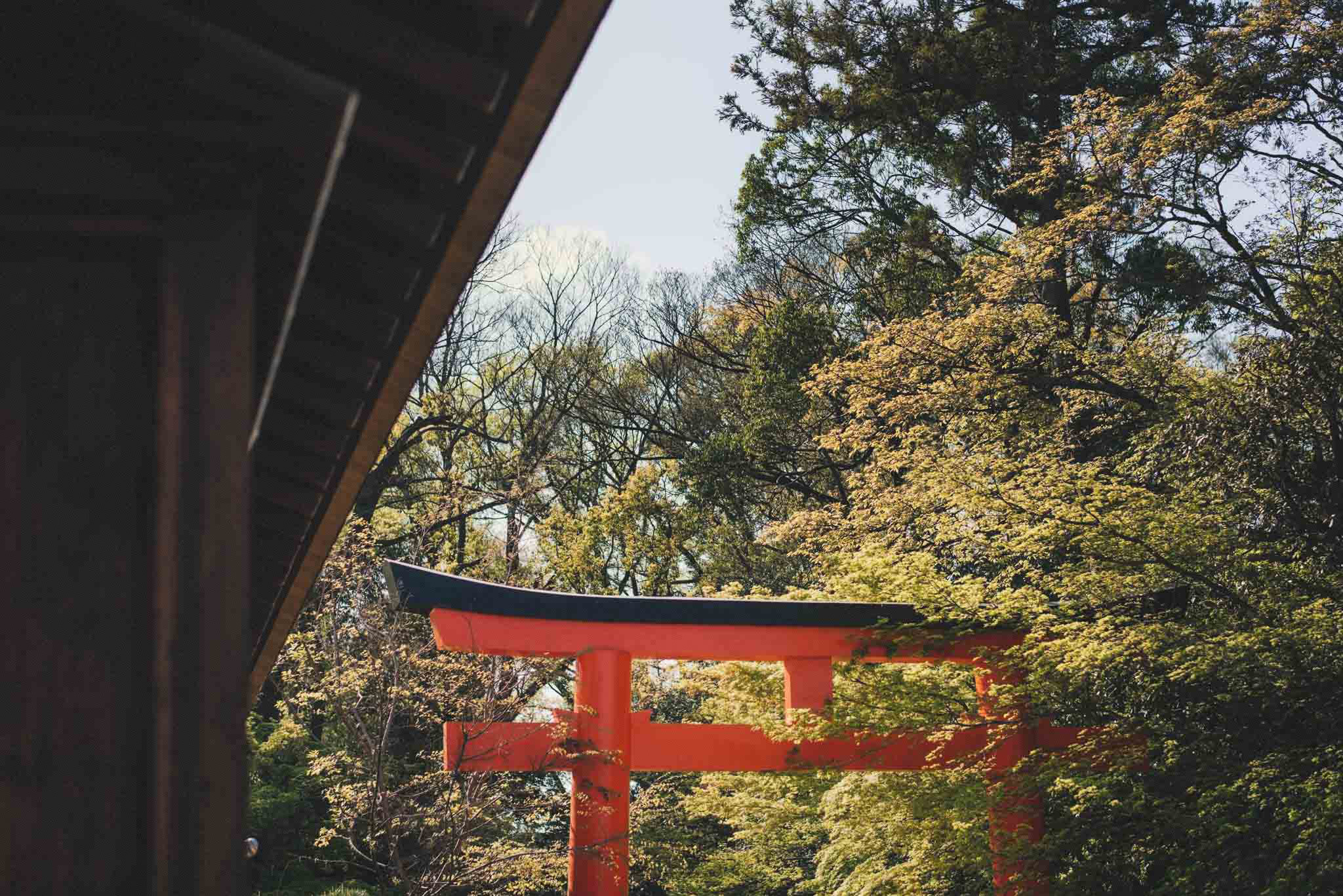 kyoto wedding photographer destination wedding photography in japan