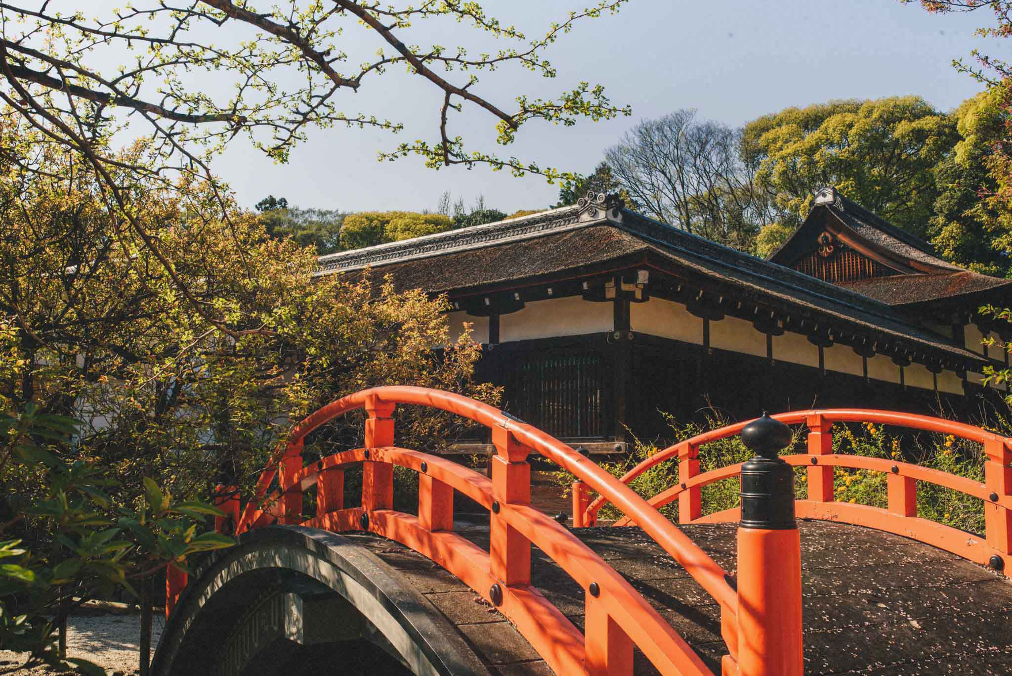 kyoto wedding photographer destination wedding photography in japan